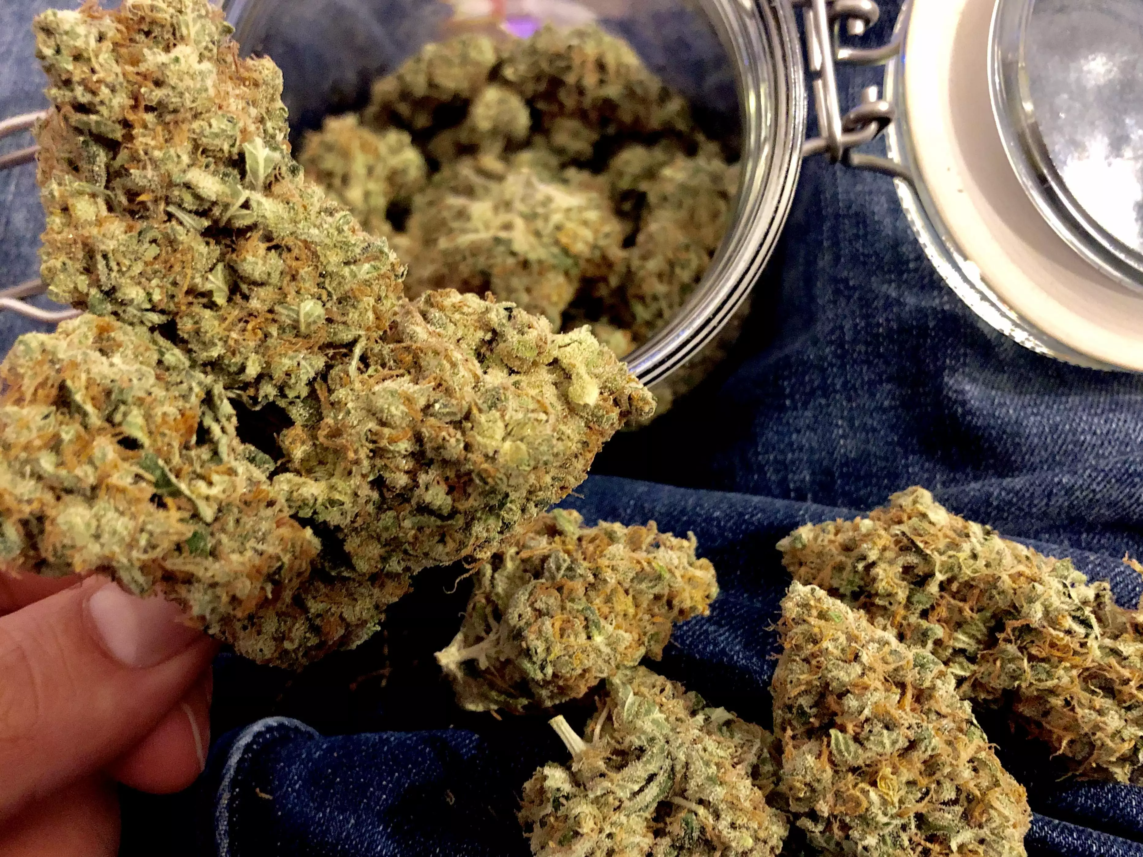 SativaBrothers