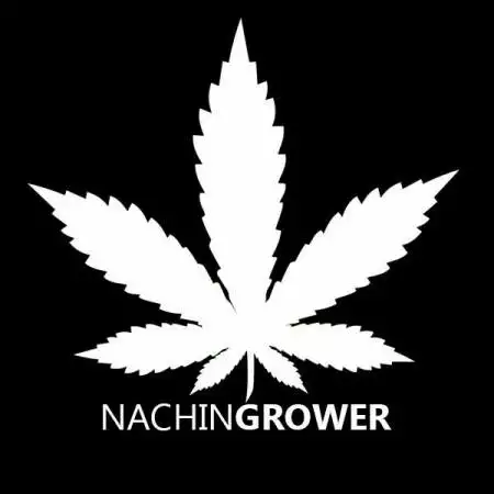 nachofaith