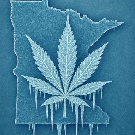 MN-Frozen420