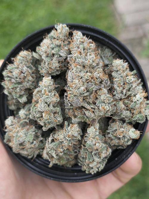 null by HealthHunterFarms