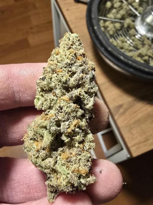 null door Hempface86