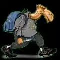 rastone