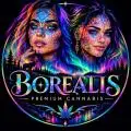 Borealis_Cannabis