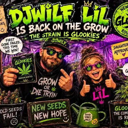 DJWILF