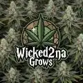 Wicked2na