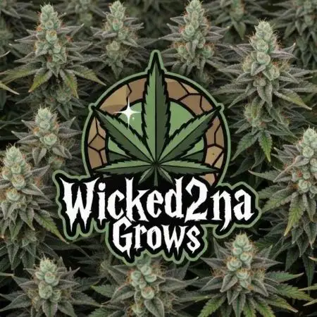 Wicked2na
