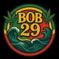 Bob29
