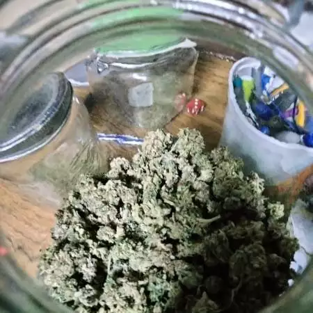 MemoralGrow