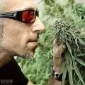 MrHaze