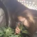 MrGreenBeans