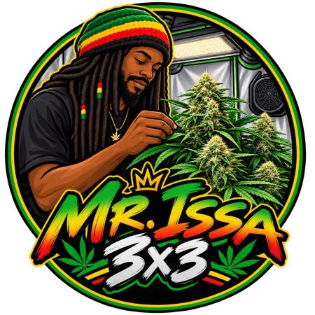 MrIssa3x3