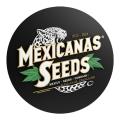 Mexicanasseeds