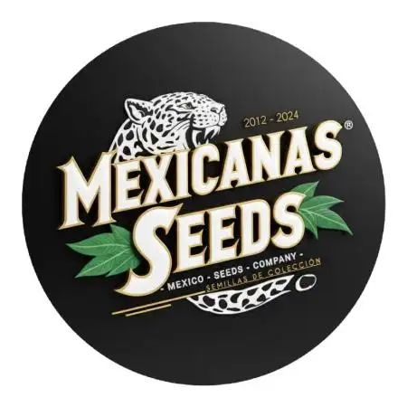 Mexicanasseeds