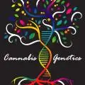 Romulus-Genetics