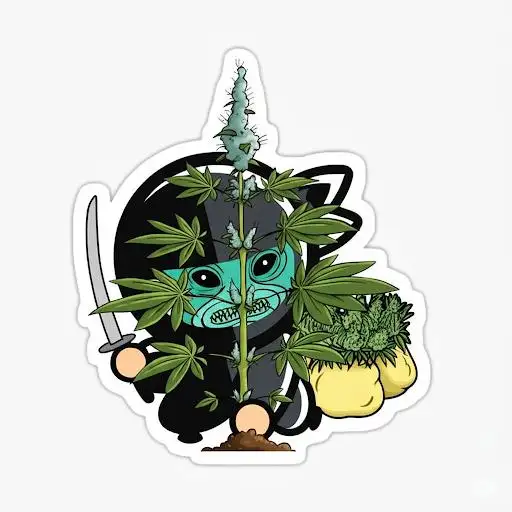 Ninjabuds