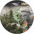 Mannirumpel420