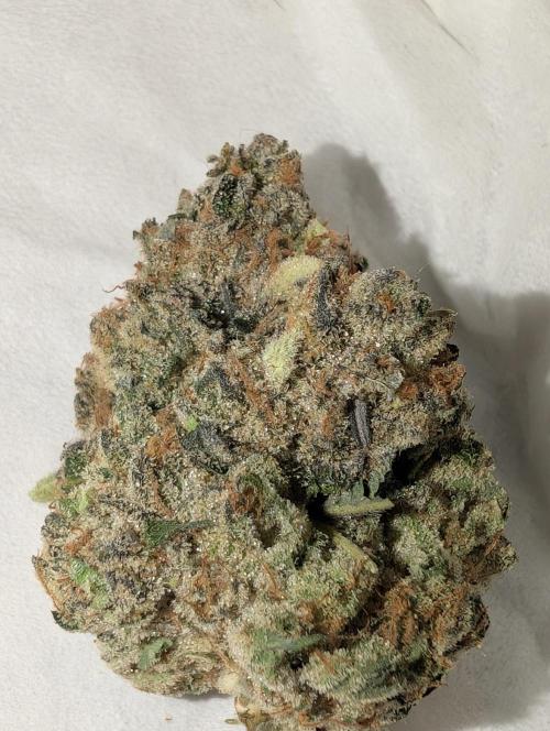 null door _grower_rosinjuice