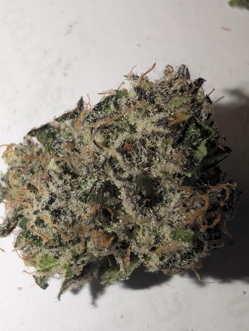 null door _grower_rosinjuice