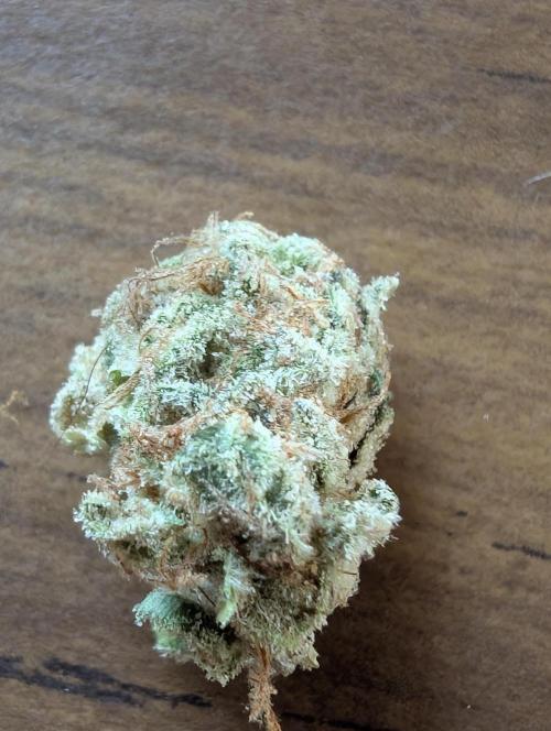 null door _grower_rosinjuice