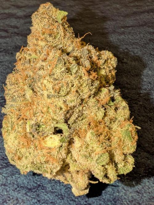null door _grower_rosinjuice