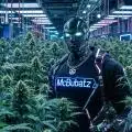 McBubatz