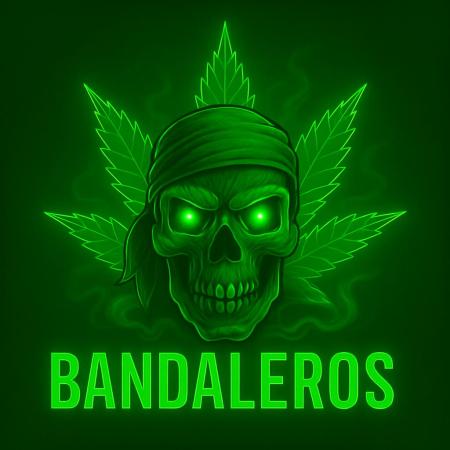 Bandaleros