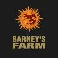 Barneys