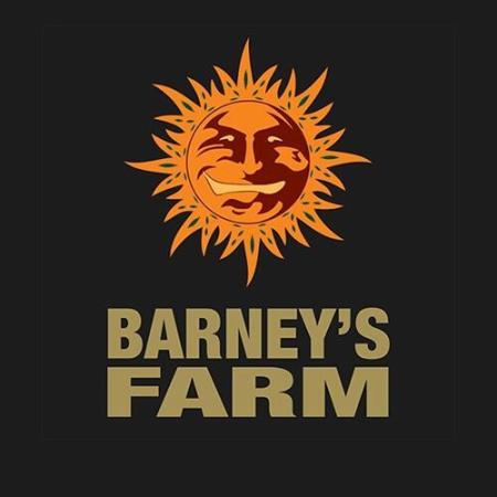 Barneys