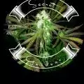 Secret420gardens