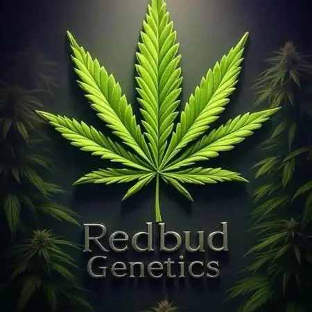 RedbudGenetics420