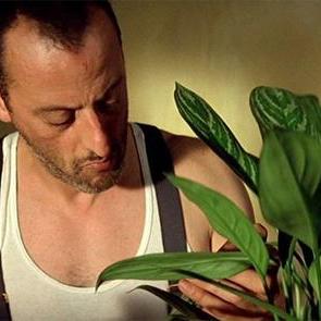 floristician