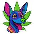 S4nchi