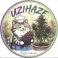 UziHaze