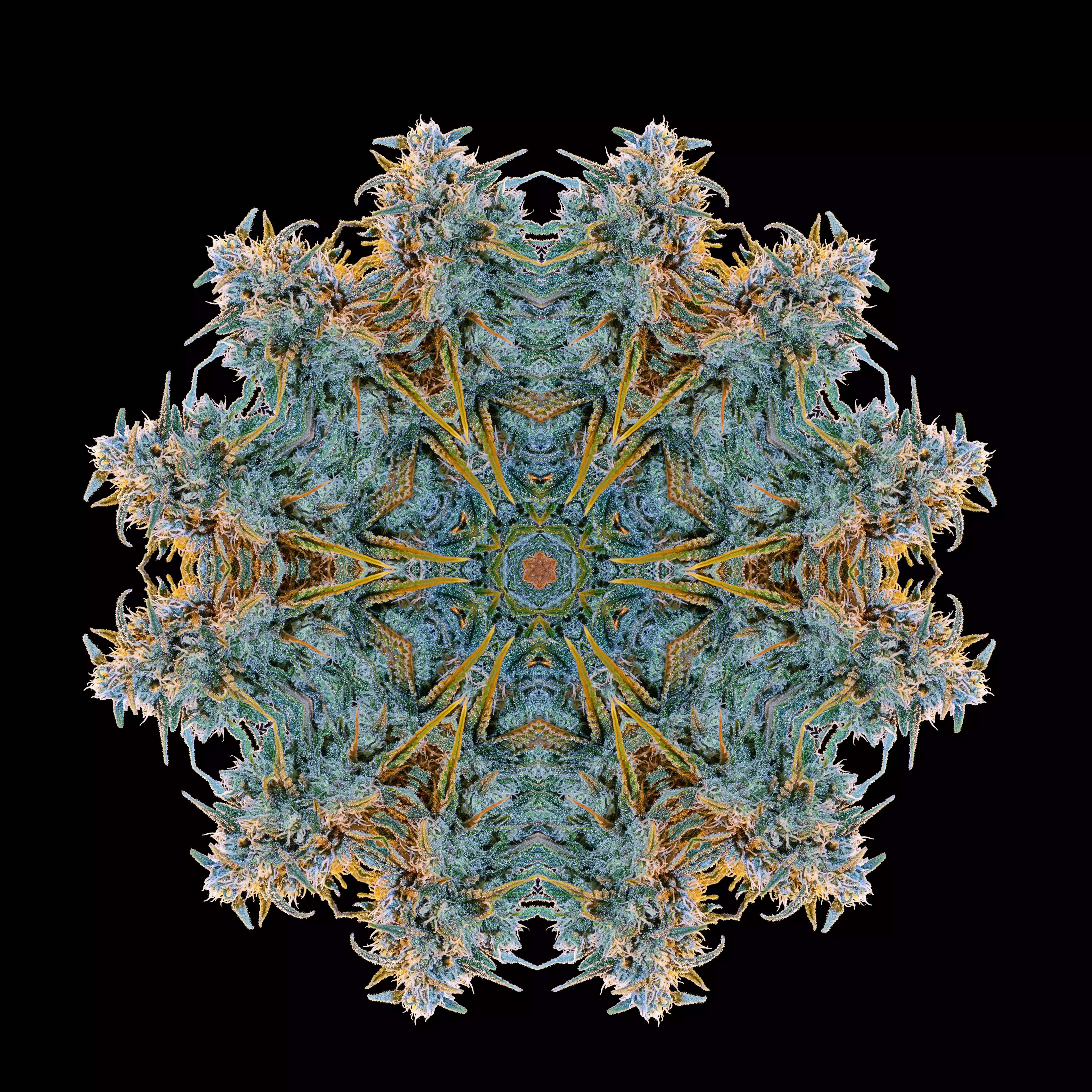 Lazanik