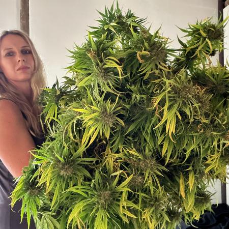 Jane420sa