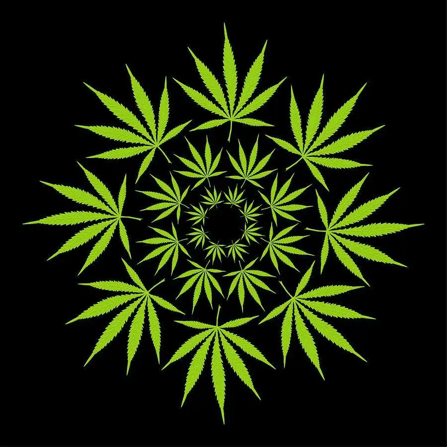 GrowZero