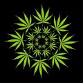 GrowZero