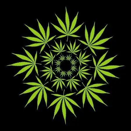 GrowZero