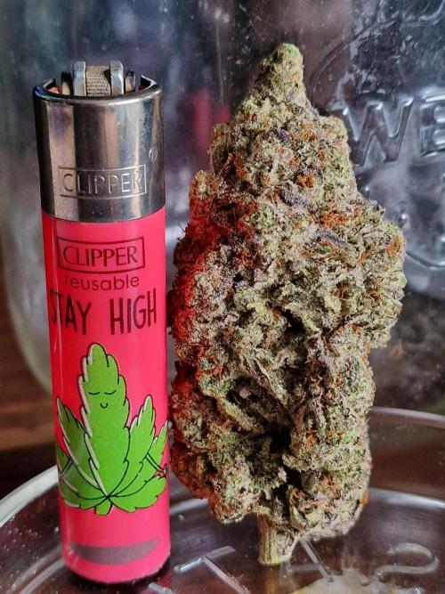 null by CannaArchive