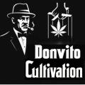 DonvitoCultivation