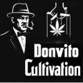 DonvitoCultivation