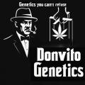 DonvitoGenetics
