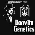 DonvitoGenetics