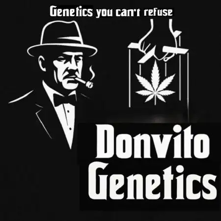 DonvitoGenetics