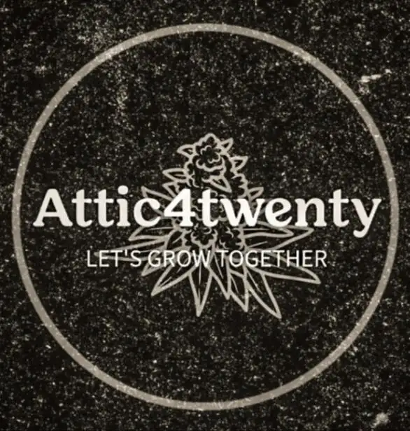 Attic4twenty