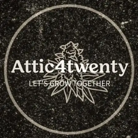 Attic4twenty