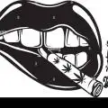 Premiumlabelseeds