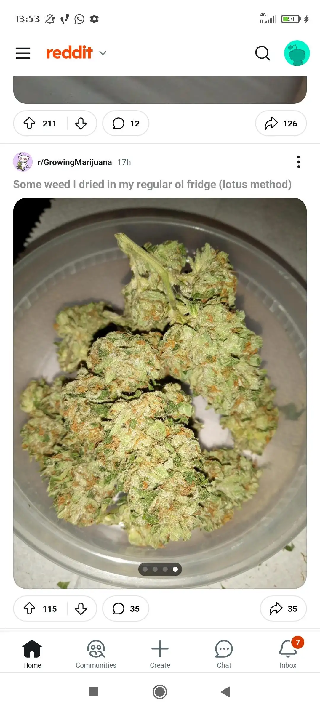 Stoned_Crambone