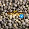 TanieSianieSeeds