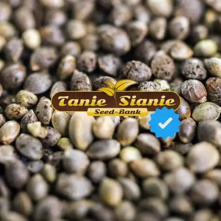 TanieSianieSeeds